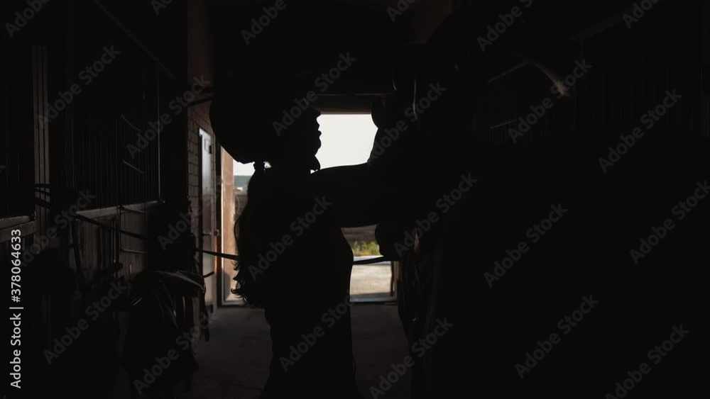 Silhouette of woman rider puts saddle on her horse in stable Silhouette of woman rider puts saddle on her horse in stable