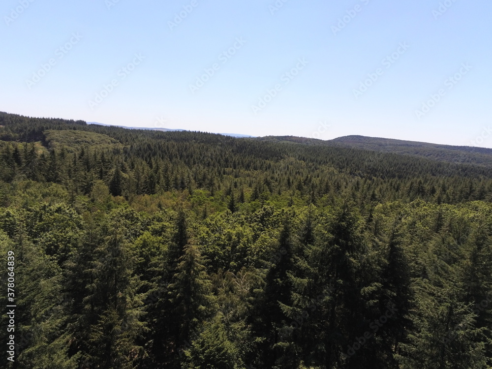 Forêt de sapin en Bourgogne, vue aérienne Forêt de sapin en Bourgogne, vue aérienne