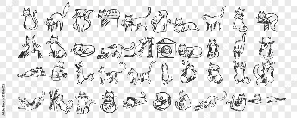 Cats doodle set. Collection of hand drawn pencil sketches templates patterns of adorable pets kitten kitty sleeping stretching playing with ball hiding in box or basket. Illustration dmestic animals.