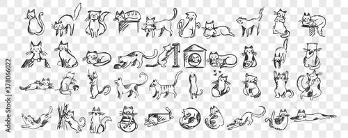 Cats doodle set. Collection of hand drawn pencil sketches templates patterns of adorable pets kitten kitty sleeping stretching playing with ball hiding in box or basket. Illustration dmestic animals.