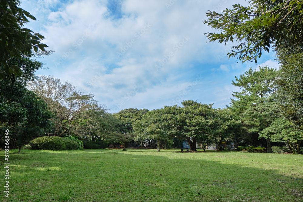 A forest square with blue skies and green grass.