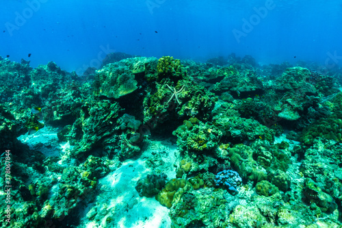 Colorful reef and blue tropical ocean of RAYA Island Phuket Province, Thailand © satit