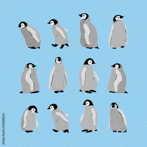set of penguin illustrations, penguin, Emperor Penguin