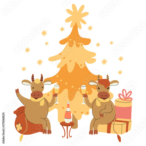 New Year or Christmas card with gift boxes  christmas tree and cute cheerful bulls drinking champagne. Year of ox 2021. Hand drawn lettering. Vector illustration isolated on white background