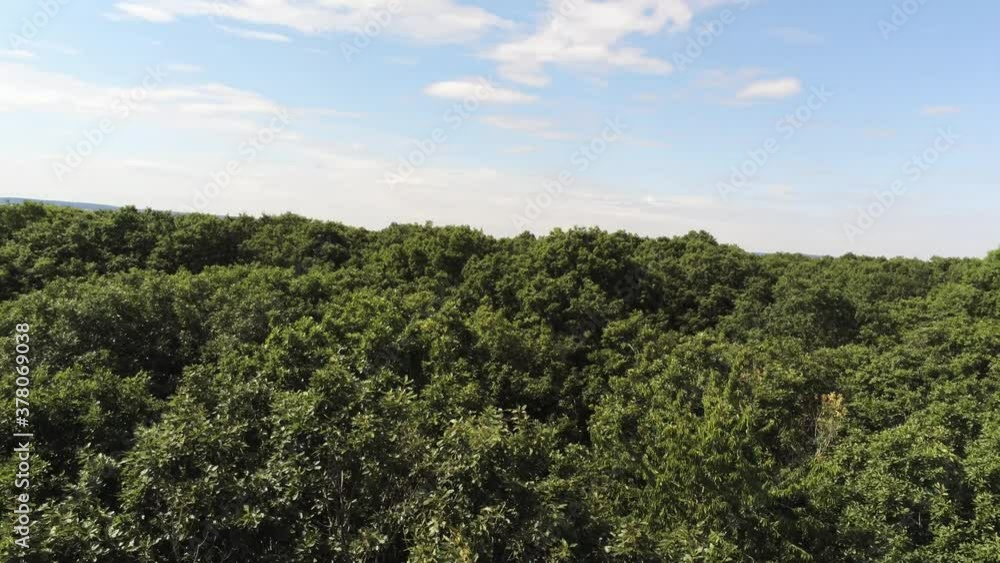 Forêt en Bourgogne, vue aérienne Forêt en Bourgogne, vue aérienne