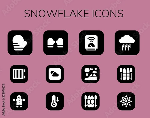 snowflake icon set