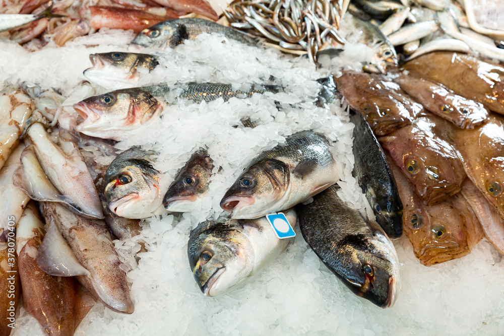 Large assortment of fresh seafoods suiting any taste on icy showcase of fish store