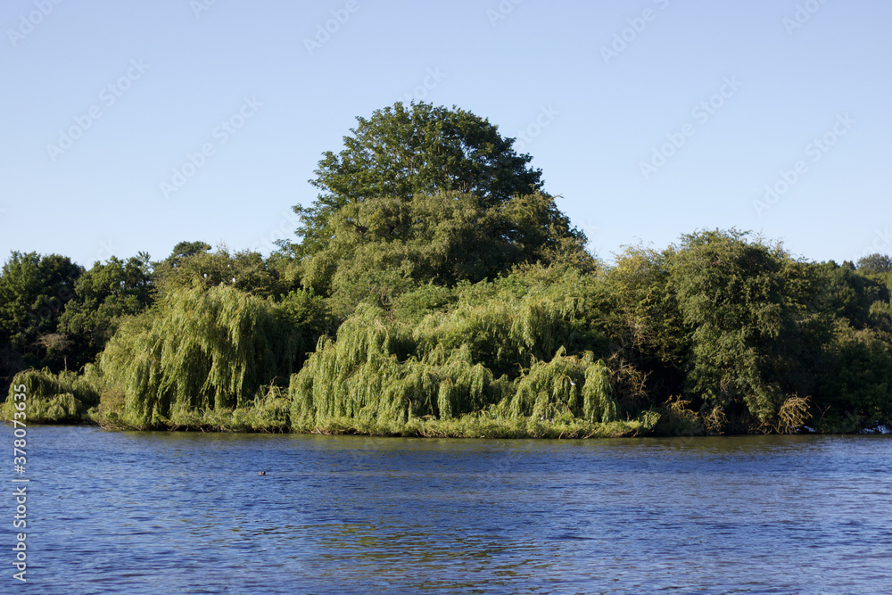 Beautiful image of lake with trees and foliage above and blue sky Beautiful image of lake with trees and foliage above and blue sky