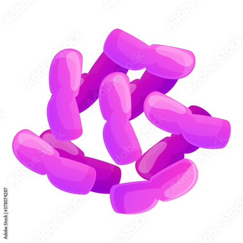 Probiotics stomach icon. Cartoon of probiotics stomach vector icon for web design isolated on white background
