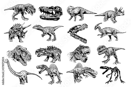 Big vector collection of dinosaurs isolated on white background, elements for typography , design and tattoo