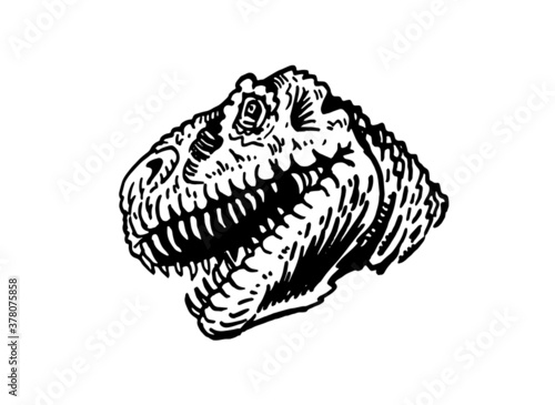 vector portrait of tyrannosaurus  isolated on white background, element for typography , design and tattoo