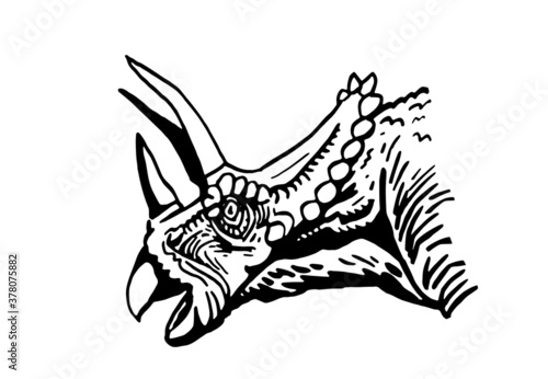  vector portrait of triceratops  isolated on white background, element for typography , design and tattoo