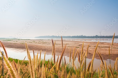 Crossed the grass along the Mekong River Vientiane Capital, Laos