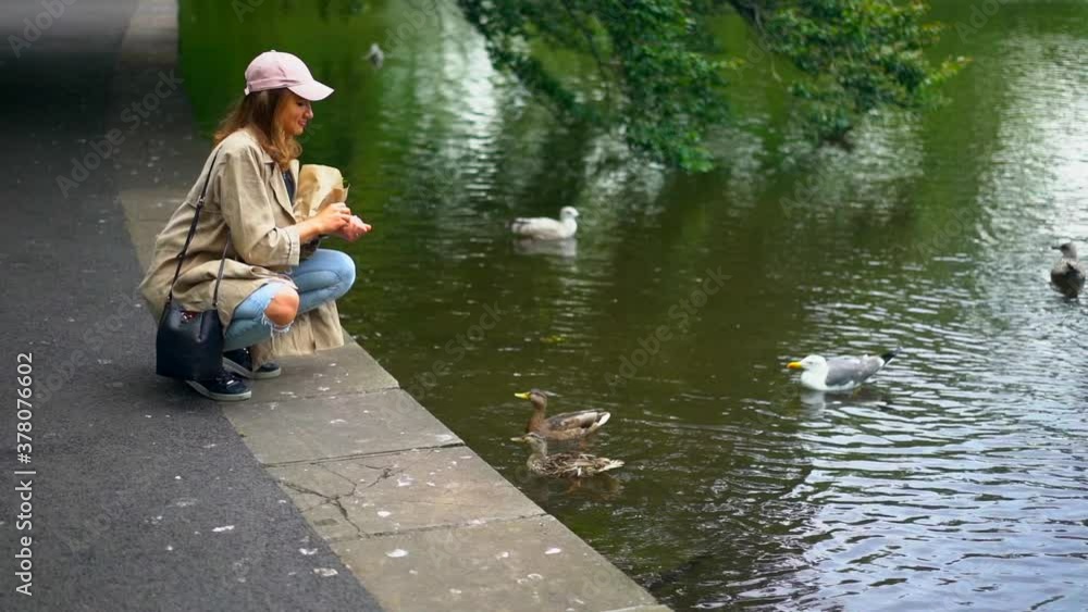 Slow motion shot of woman feeding birds at lakeside Slow motion shot of woman feeding birds at lakeside