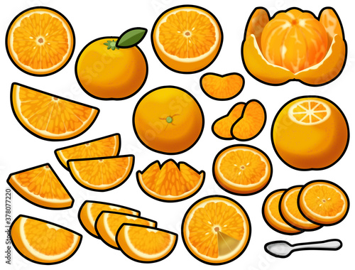 色々なオレンジ