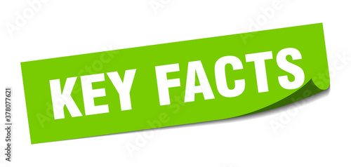 key facts sticker. square isolated label sign. peeler