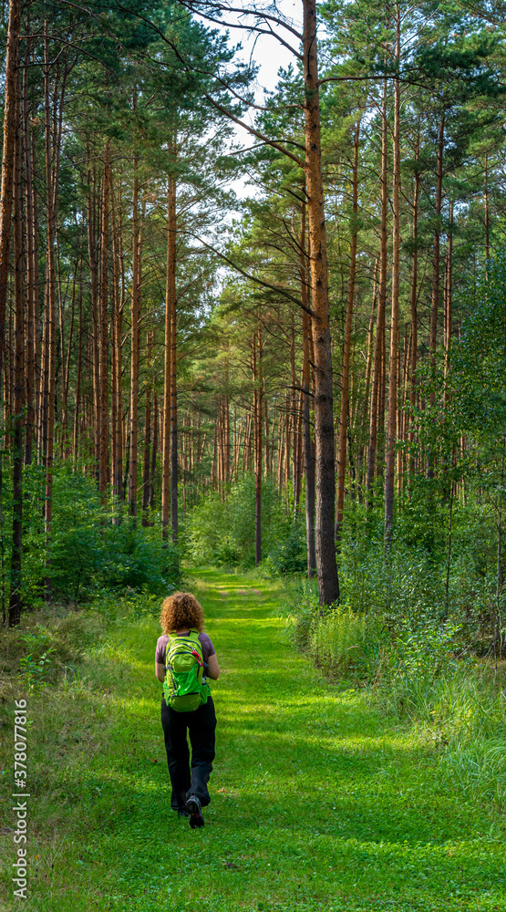 Waldwege und kleine Seen in Brandenburg Waldwege und kleine Seen in Brandenburg