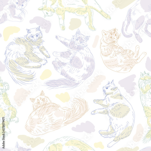 cute cats seamless pattern. pets vector background