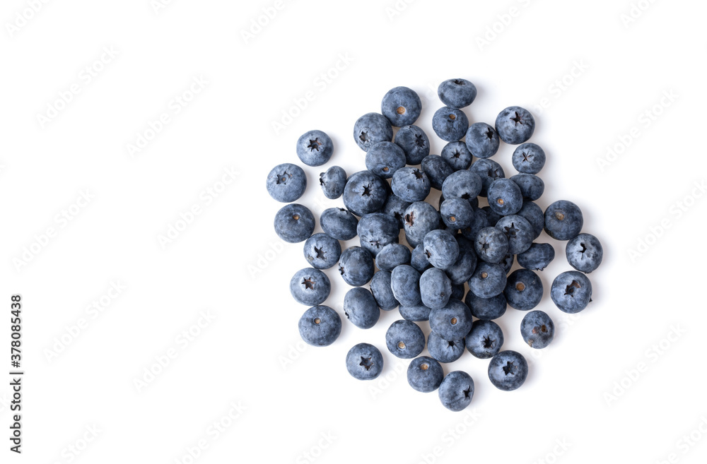 blueberries isolated on white background blueberries isolated on white background