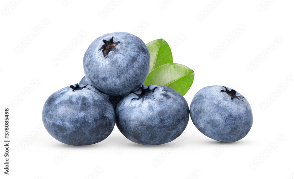 Obraz premium blueberries on white background