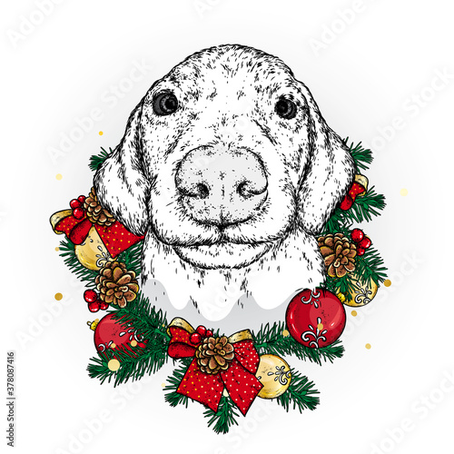 A beautiful puppy in a Christmas wreath. Vector illustration. A pedigree dog in clothes and accessories. New Year's and Christmas.