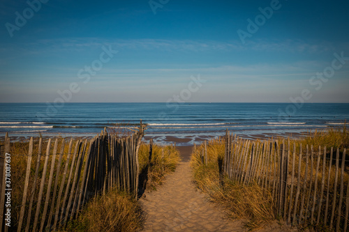 Footpath between wooden fences on the Atlantic Dune in France  Montalivet