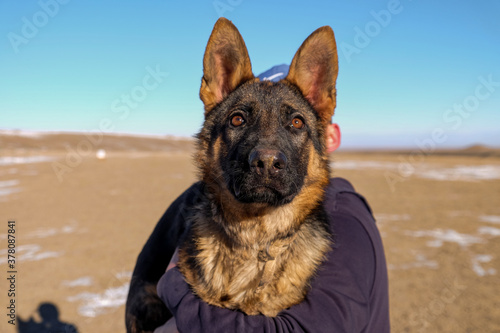 A dog staring at the camera while holding by a boy. 