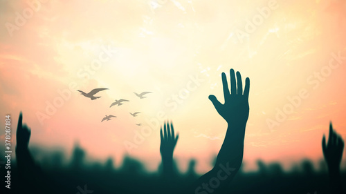 Photos International migrants day concept: Silhouette many people raised hands with bir