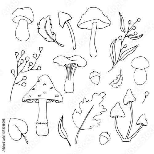 Set of Fall's elements like mushrooms, autumn leaves. Vector illustrations