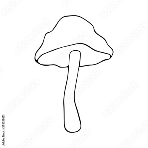 Isolated vector illustration of Mushroom in doodle style on white background. Botanical element og Autumn atmosphere. Forest ingredient.	
