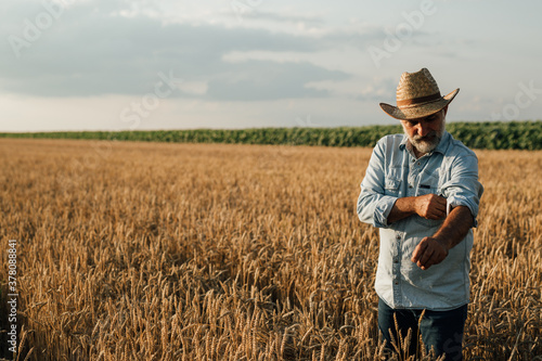 farmer standing in wheat field