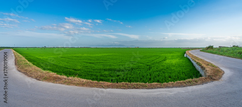 Hairpin bend road near rice fields in Valencia