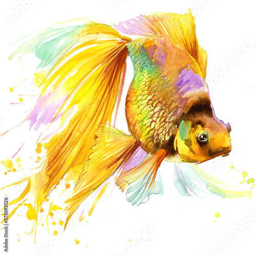 Gold fish. watercolor illustration. marine nature. sea animal. oceane life. photo