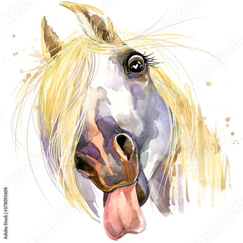 Cute white horse. watercolor illustration.  farm animals. domestic pets. wildlife.