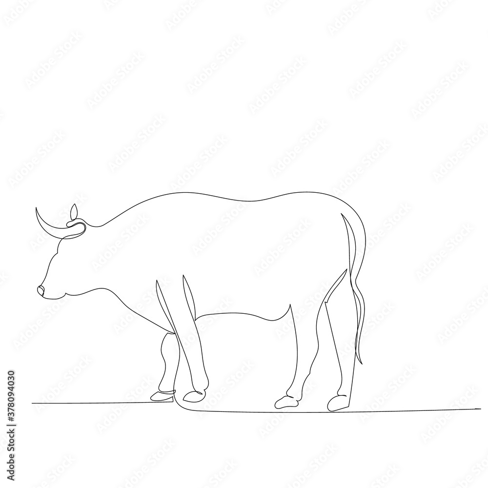 vector, isolated, one line drawing bull vector, isolated, one line drawing bull