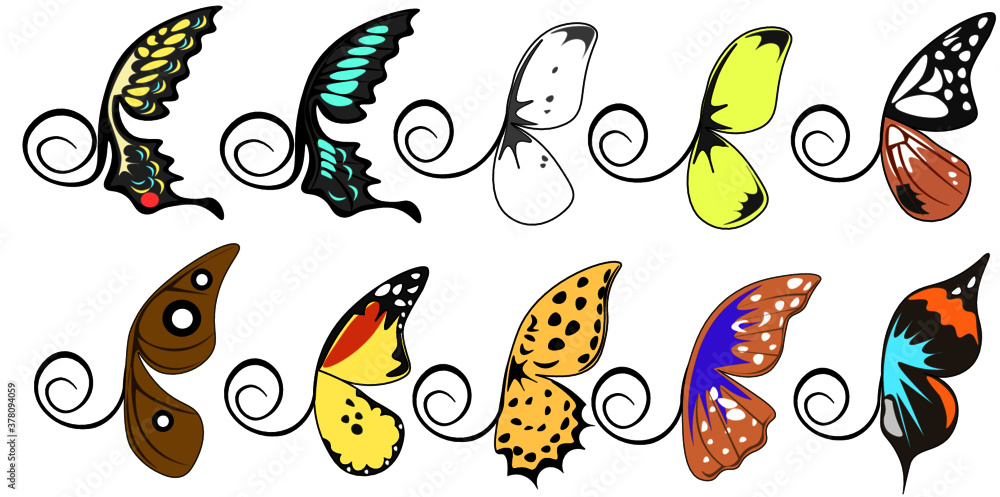 Fototapeta premium カラフルな蝶