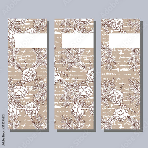 Three cards. European larch cones and branch. Vector illustration.