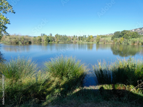 Small lake with native vegetation