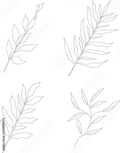 Set of vector doodle branch