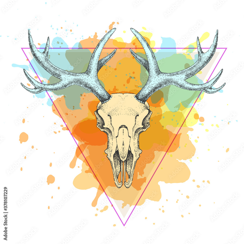 Obraz Hipster animal skull on artistic polygon watercolor background. Skull of deer