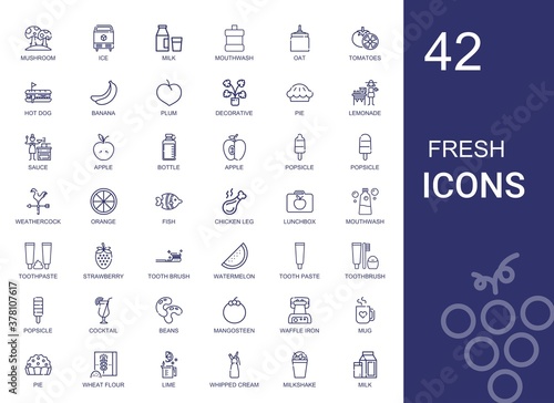 fresh icons set