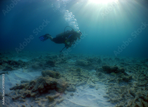 underwater scuba divers caribbean sea