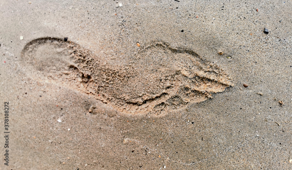 closeup man's footprint on wet beach sand closeup man's footprint on wet beach sand