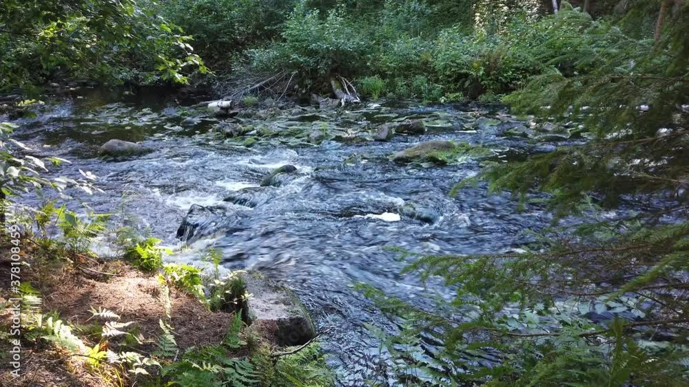 Forest river. woodland creek. water flow with splashes. rocky watercourse Forest river. woodland creek. water flow with splashes. rocky watercourse