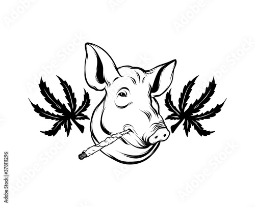 Vector hand drawn illustration of pig's head with leaf of marijuana isolated. Creative tattoo artwork. Template for card, poster, banner, print for t-shirt, pin, badge, patch.