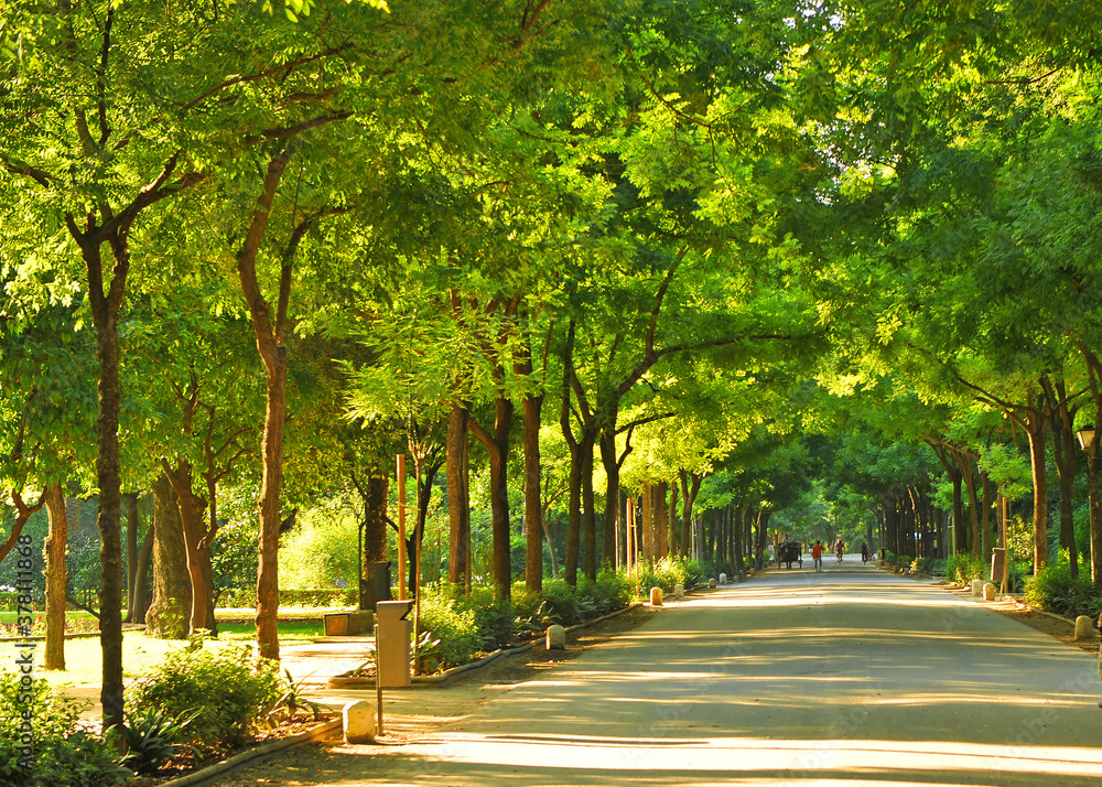 Obraz premium Parque de María Luisa en primavera Sevilla, Andalucía, España