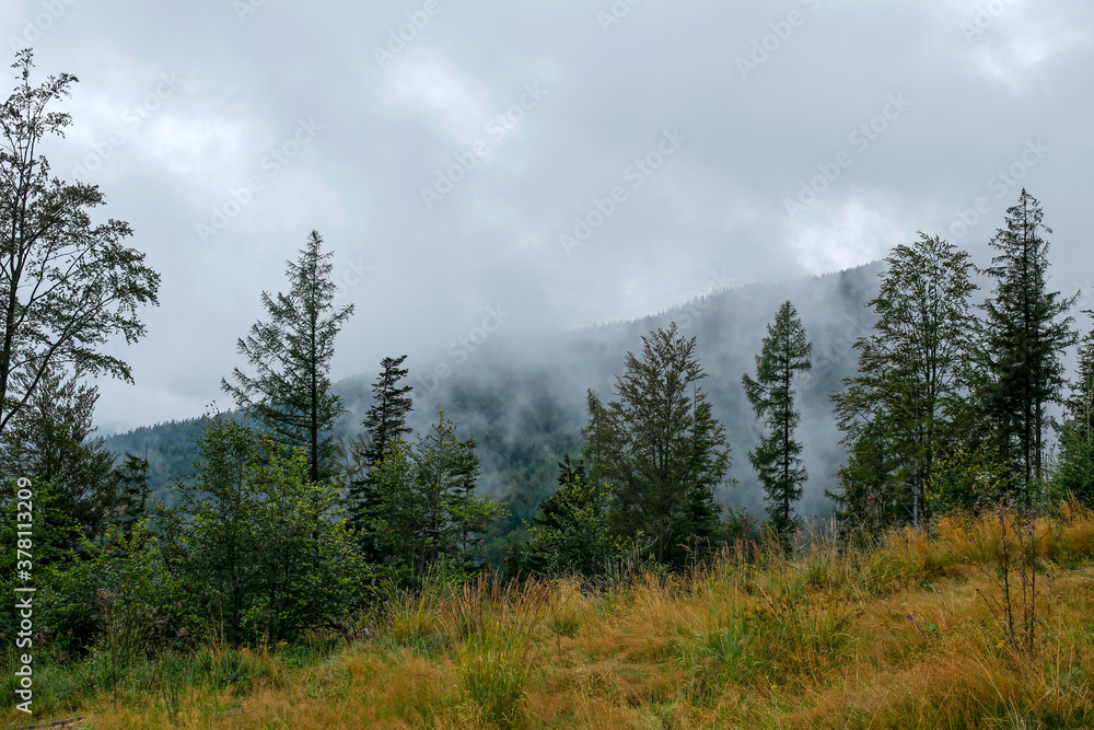 beautiful and mystical cloudy morning in the mountains