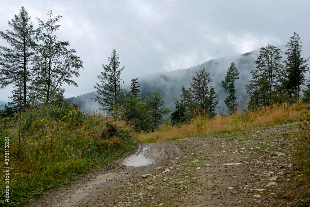 Obraz premium beautiful and mystical cloudy morning in the mountains
