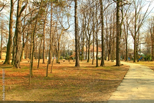 Fototapeta Naklejka Na Ścianę i Meble -  Tyniowice, Szkoła, Budynek, Zabytek, Architektura