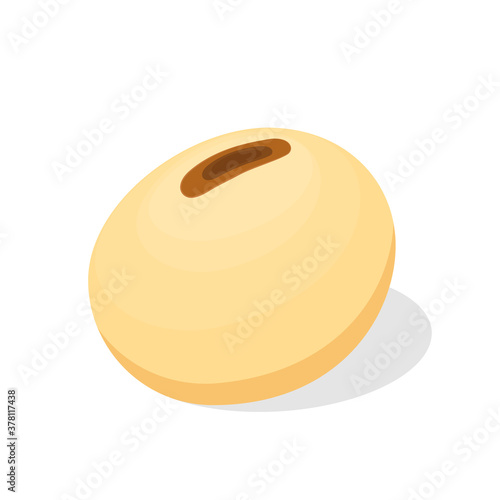 Soybean vector. Soybean on white background. free space for text.